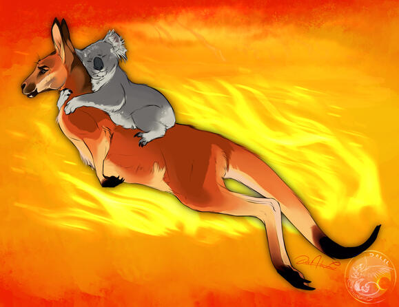 Australian fires 2020