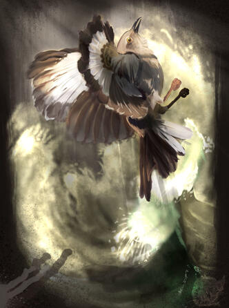 frenzy . Hurricane Harvey