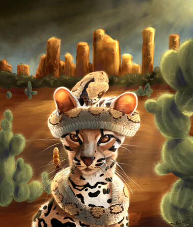 stormy coronation . Hurricane Harvey