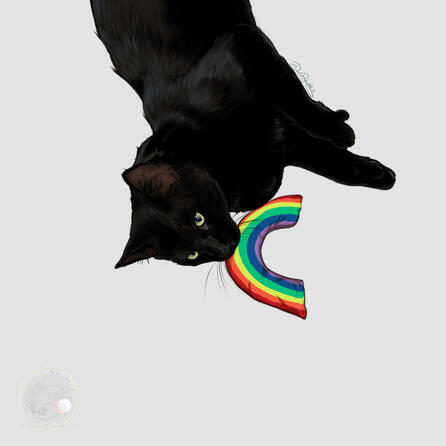 pride 2022