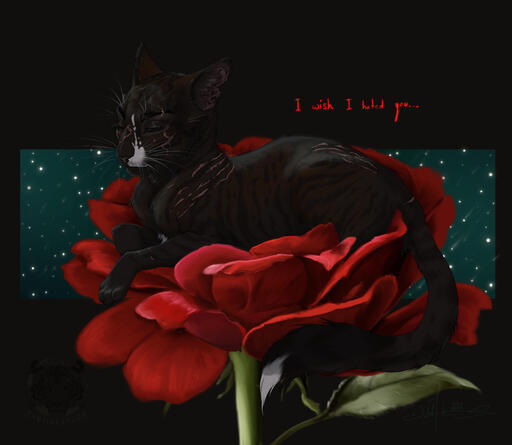 bed o roses n thorns