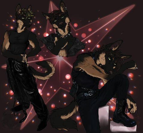 Jax for chaoss.queen
