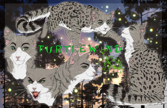 Turtlewind character sheet . Kagu