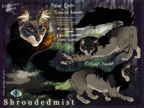 Shroudedmist ref - acmanticore