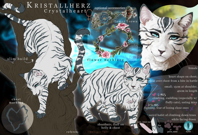 Crystalheart ref - ShadowMirai