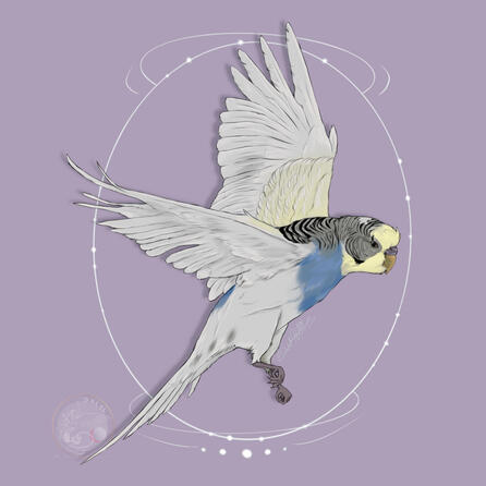 Sky (pet) fullbody - ch_universe